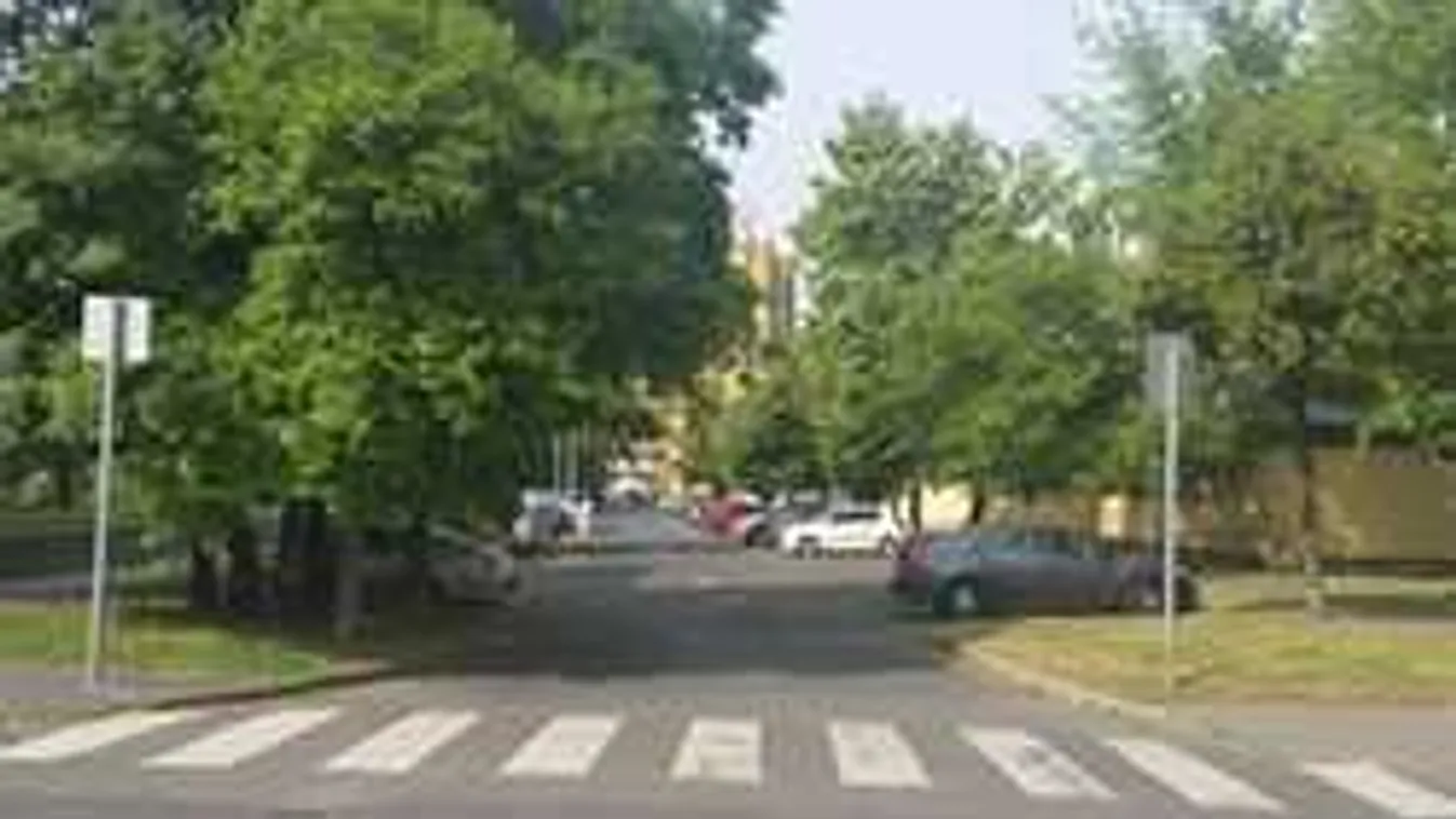 Távirányítóval működő zebrákat adtak át