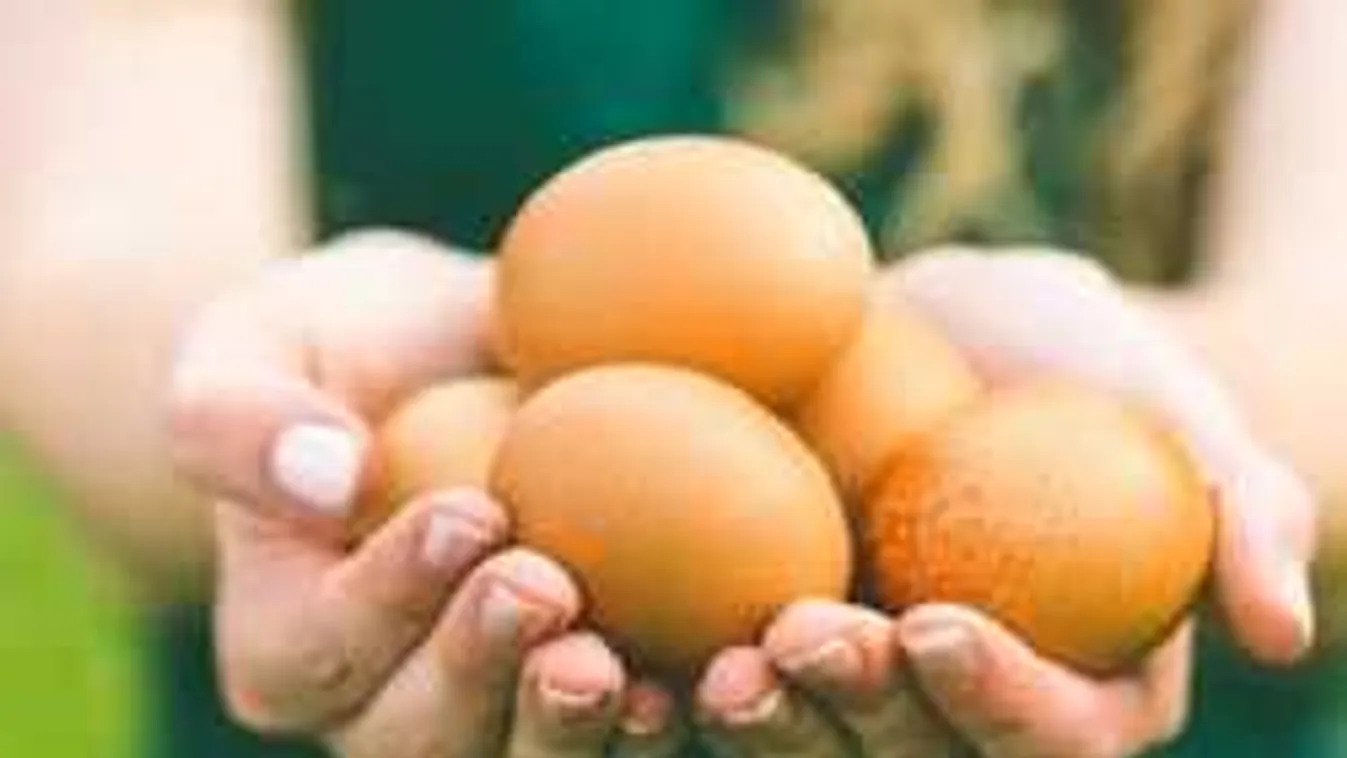 Rázd össze a tojást! Ilyen finomat és különlegeset még nem ettél