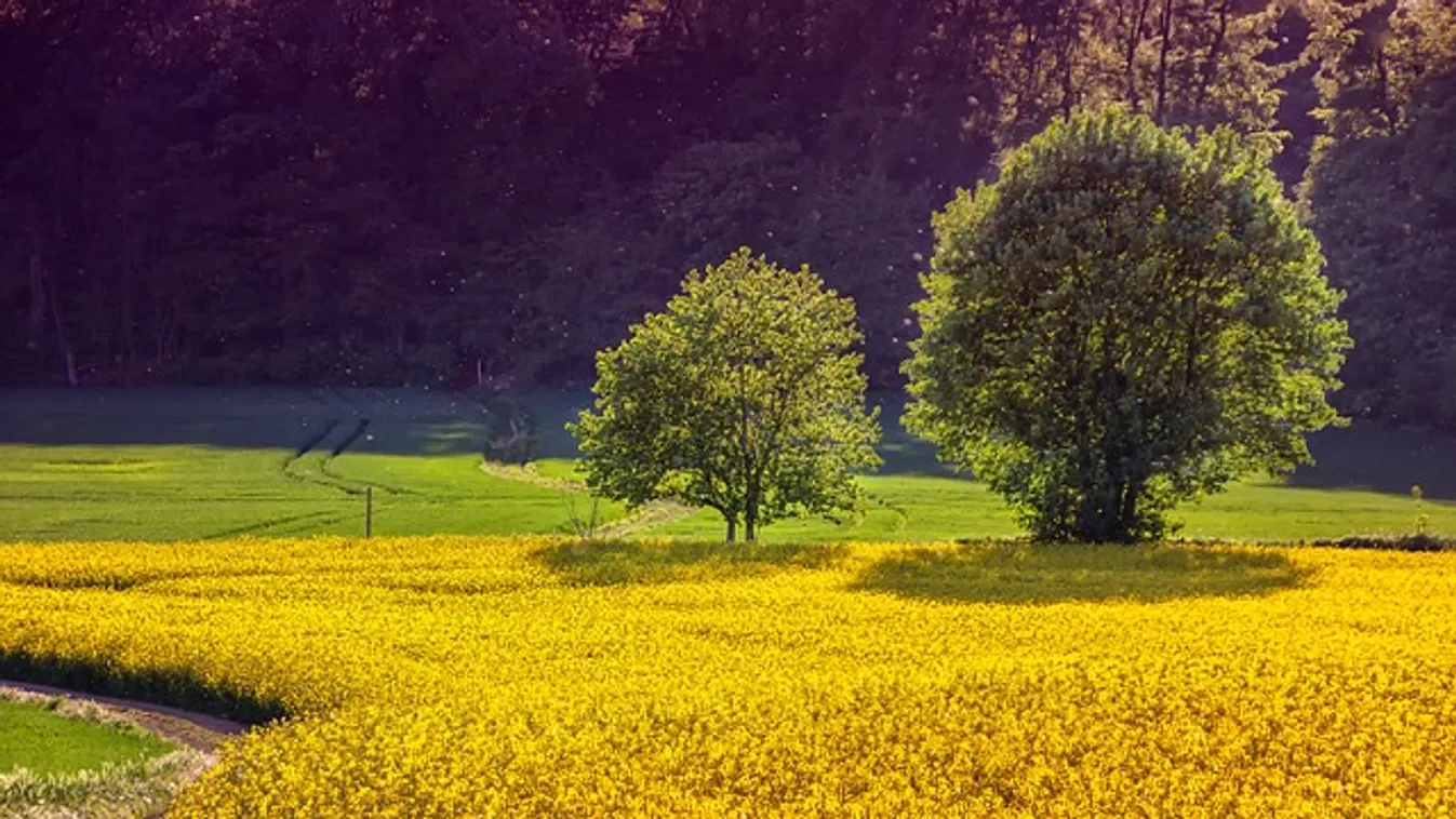 Visszakacsint a kánikula! El sem hiszed, milyen erővel tér vissza a nyár