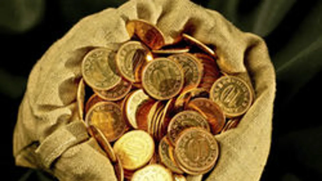 Szerencsés kincskereső: 217 aranyérme ütötte a markát