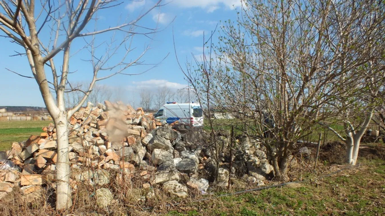 Két újszülött gyermekét ölte meg a horroranya