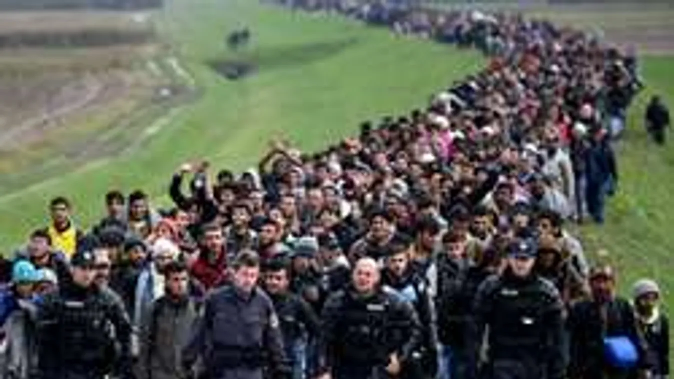 Elkezdődött: Tömegesen toloncolják ki a migránsokat!