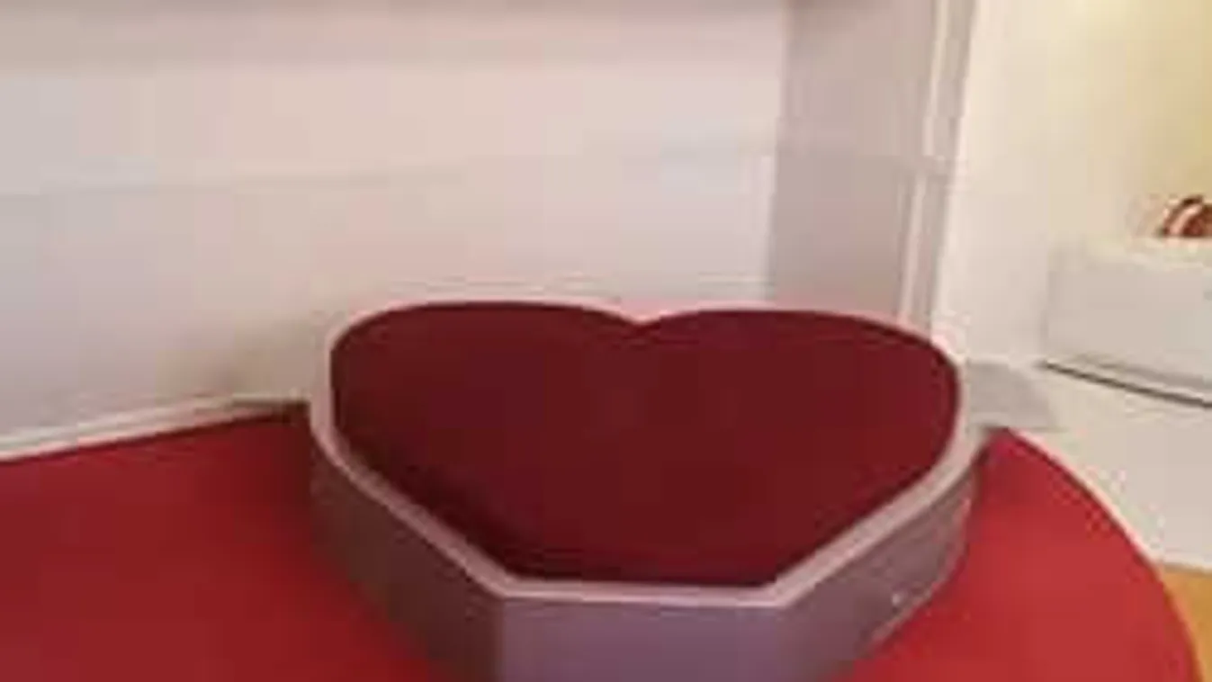 Újabb megdöbbentő részletek az akadémiai kéjbarlang ügyében