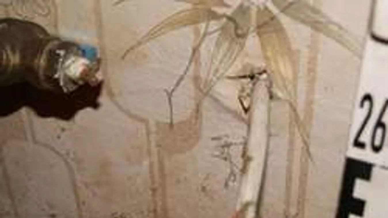 Csak látogatóba érkezett, megölte a szén-monoxid