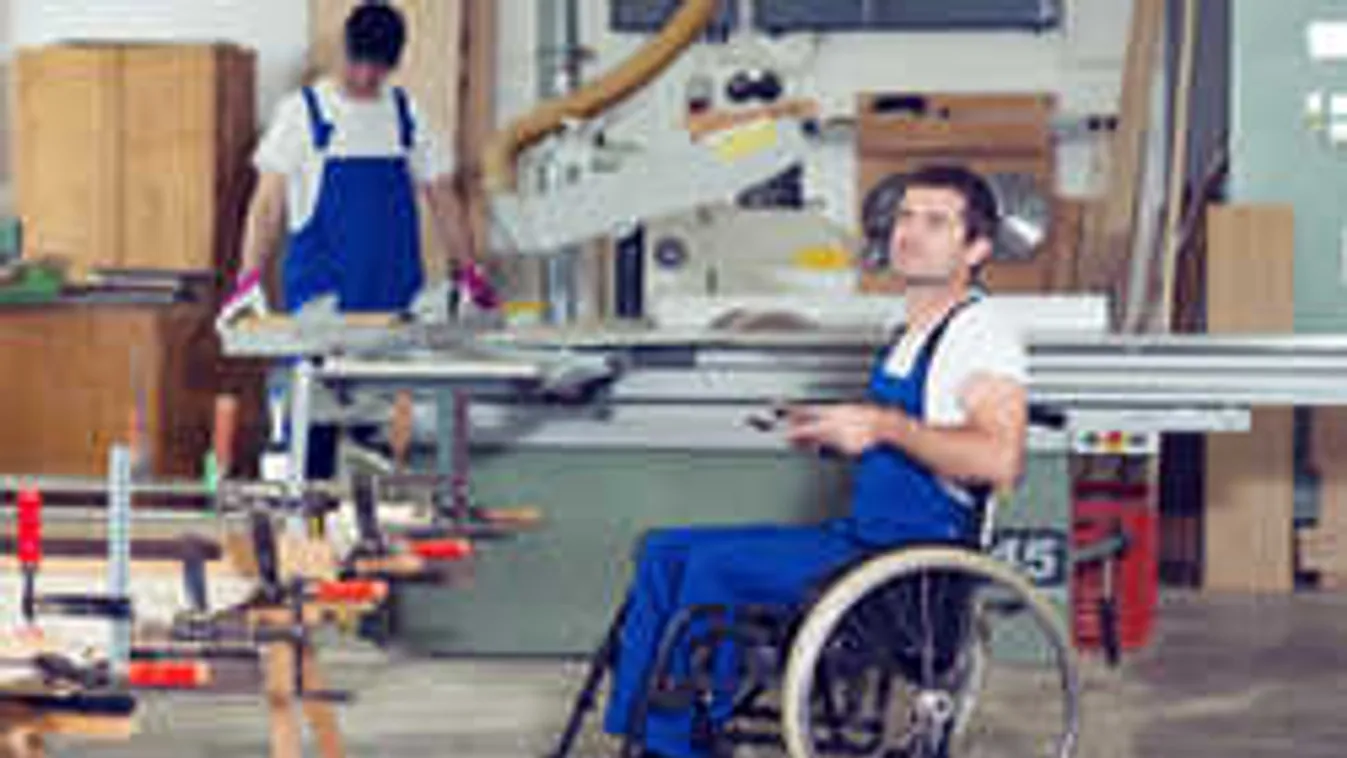 A fogyatékkal élők az épekkel egyenrangú állampolgárok