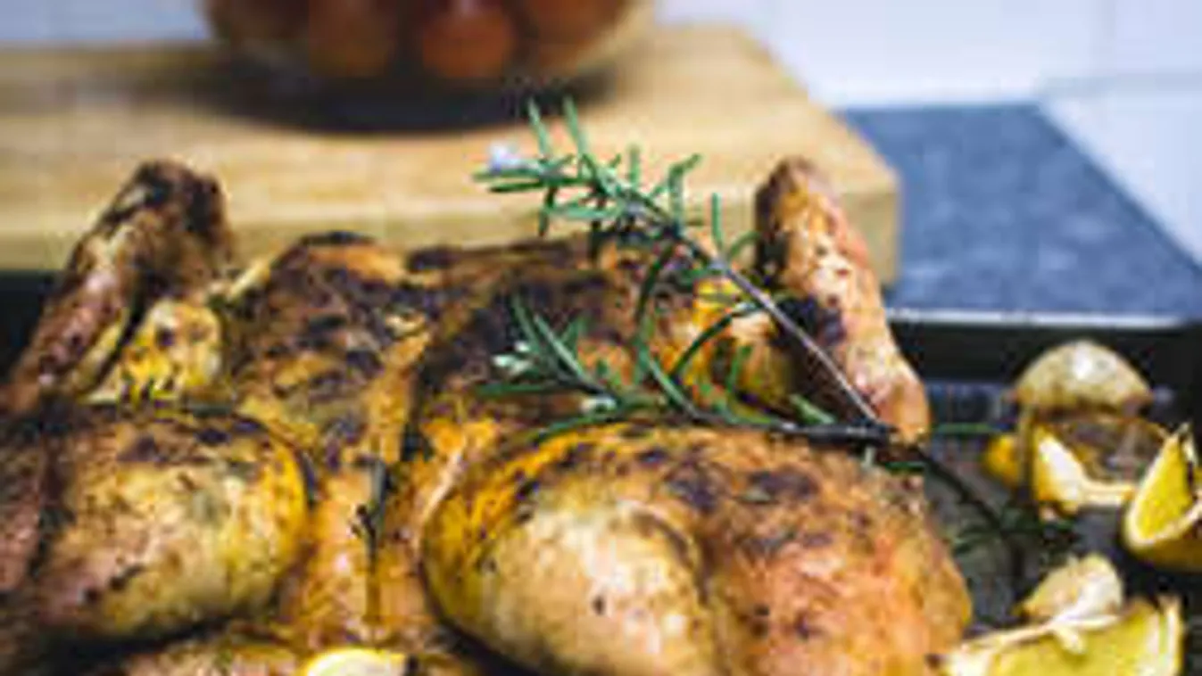 Pillangócsirke a legújabb gasztroőrület: Csúcsrecept háziasszonyoknak!