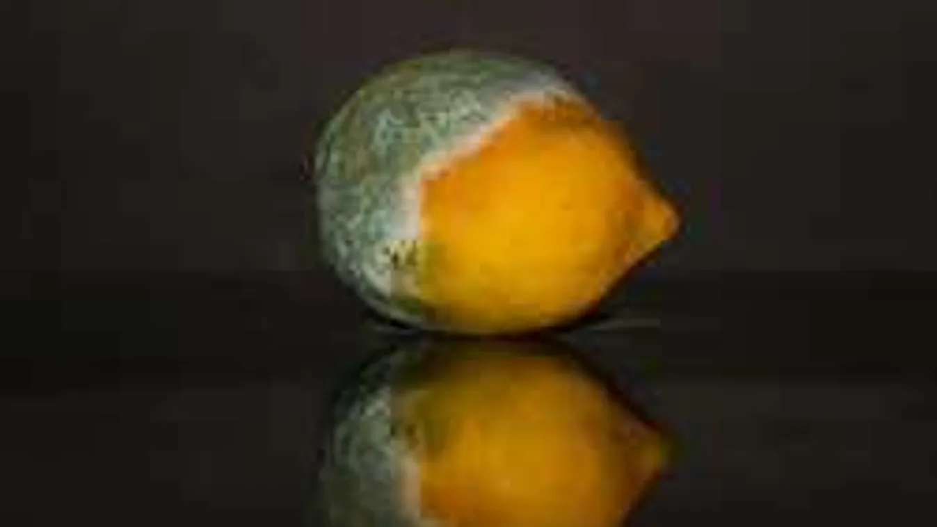 Borzalmas, mi derült ki a penészedésnek indult gyümölcsökről