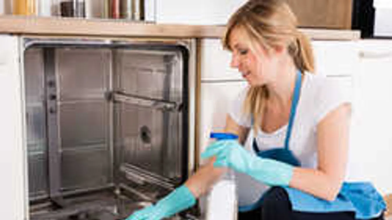 Így betegít meg a mosogatógéped. Vigyázz vele!