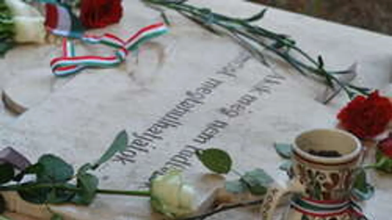 Ellophatják az állítólagos Petőfi csontjait! Több tonna betonnal fedték le