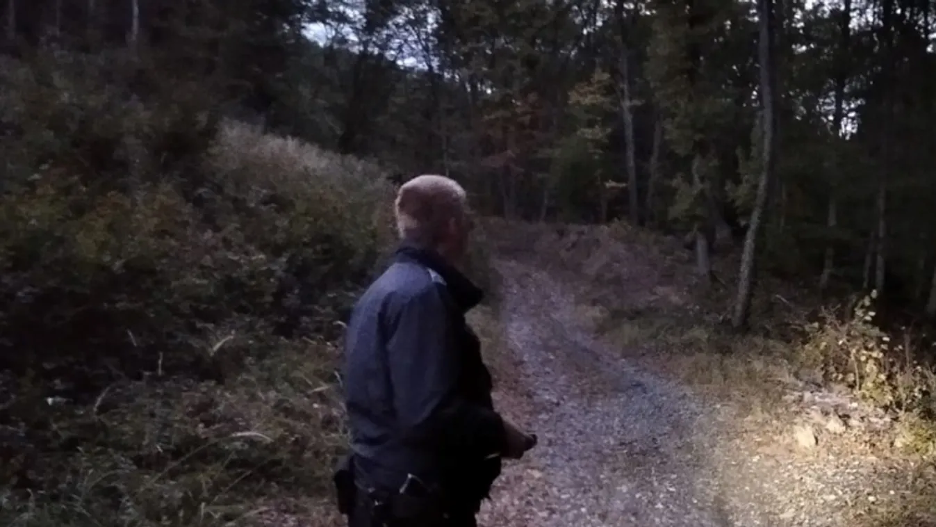 Letértek a turistaútvonalról a mohácsi lányok, ez történt velük az erdőben