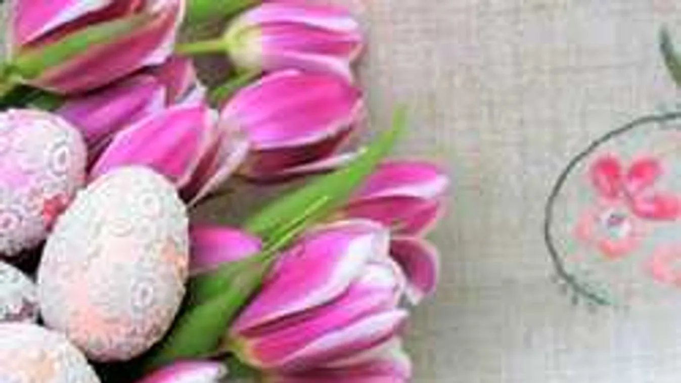 Izgalomból nem lesz hiány: fergeteges műsor húsvétkor a TV2 csatornáin