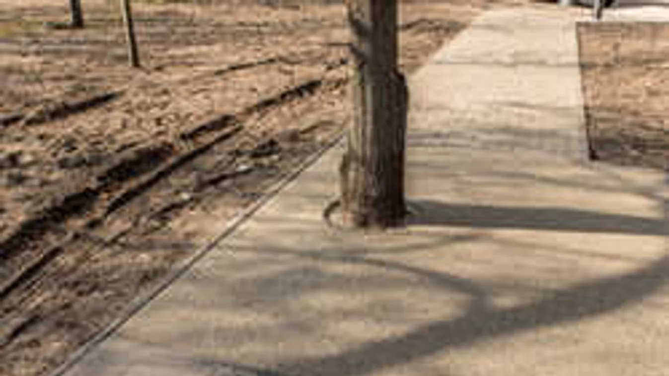 Ez hihetetlen, hogy lehet így parkot építeni?