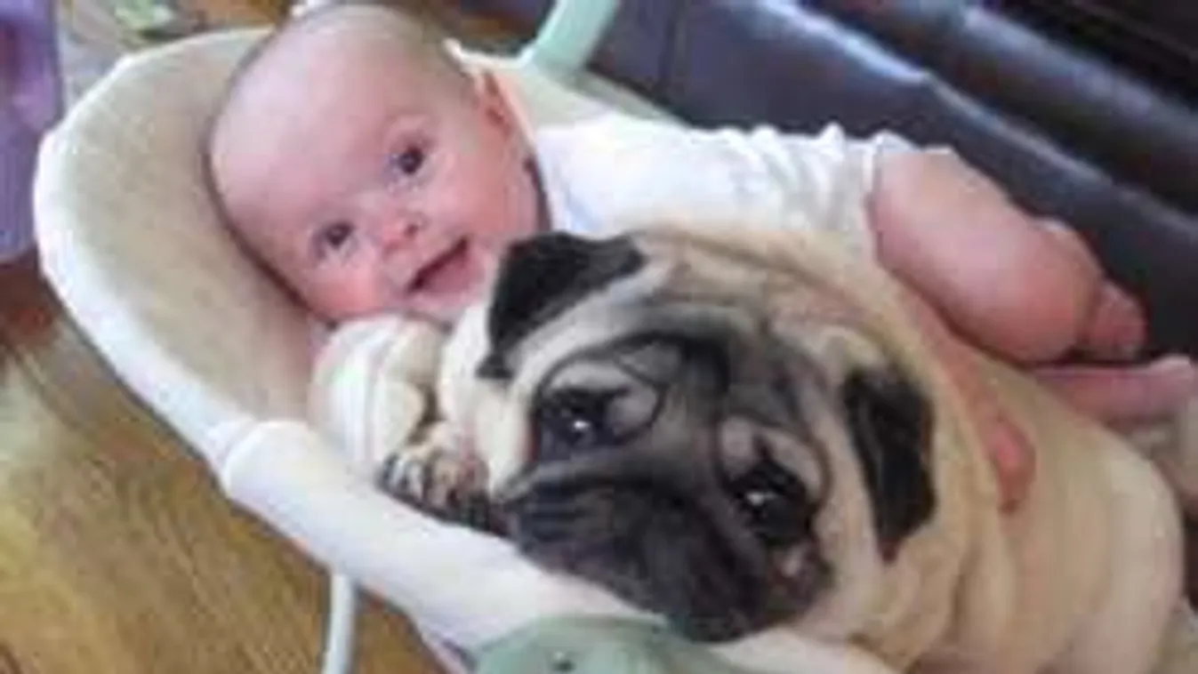 Ennyire édeset még nem láttál! Így nevetteti meg a kutya a kisbabát