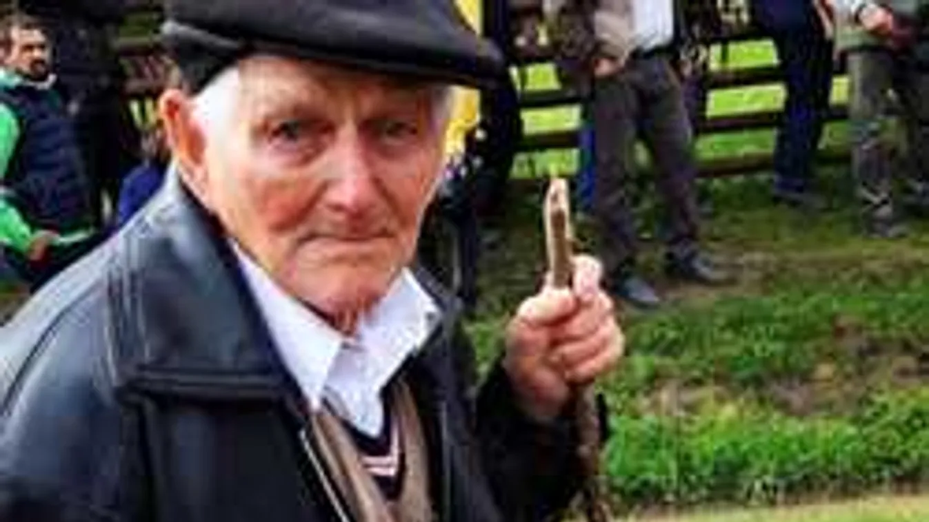 Úzvölgyi roham a magyarok ellen: Egész éjjel zokogott a 95 éves veterán