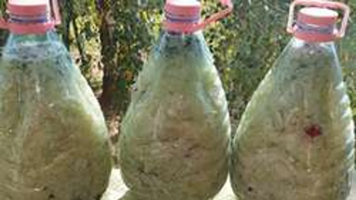 Újra tombol a műanyagflakon-láz: istenítik az ötletet a háziasszonyok!