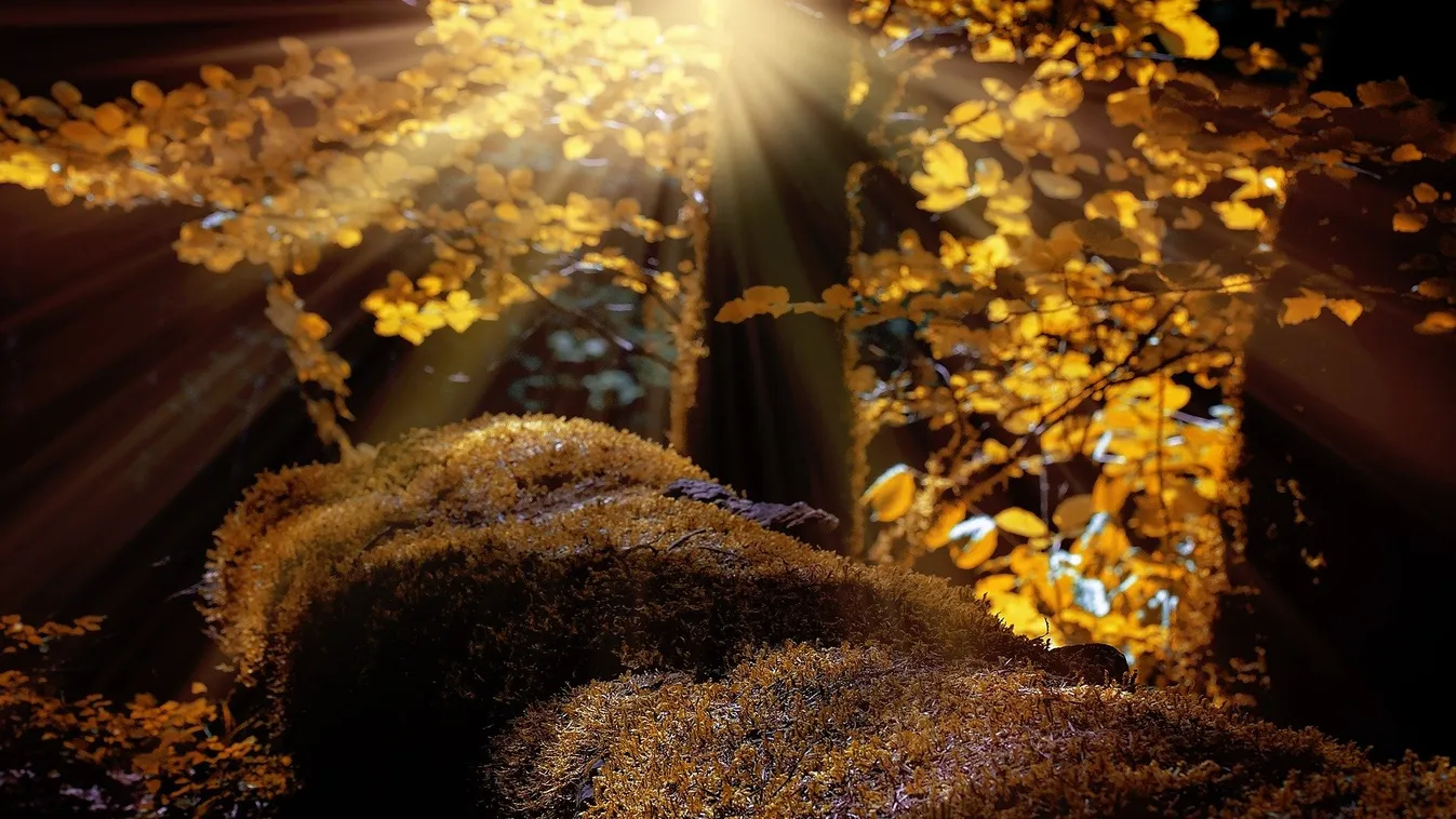 Napsütéses hétvége elé nézünk, csak ez zavarhat be