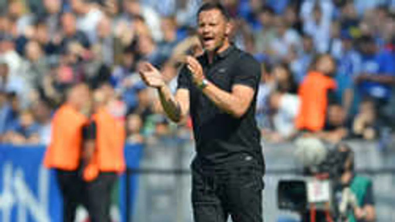 Dárdai Pál a legnagyobbak közé emelkedett