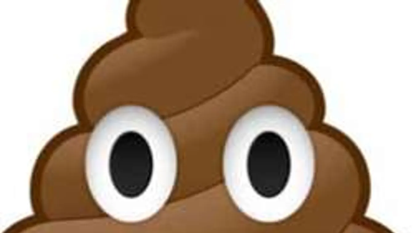 Nagy dolog - így árulkodik vécéd tartalma az egészségedről