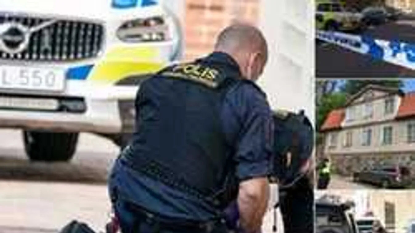 Most érkezett: Dániában kapták el a zsidó nőt brutálisan megkéselő muszlimot