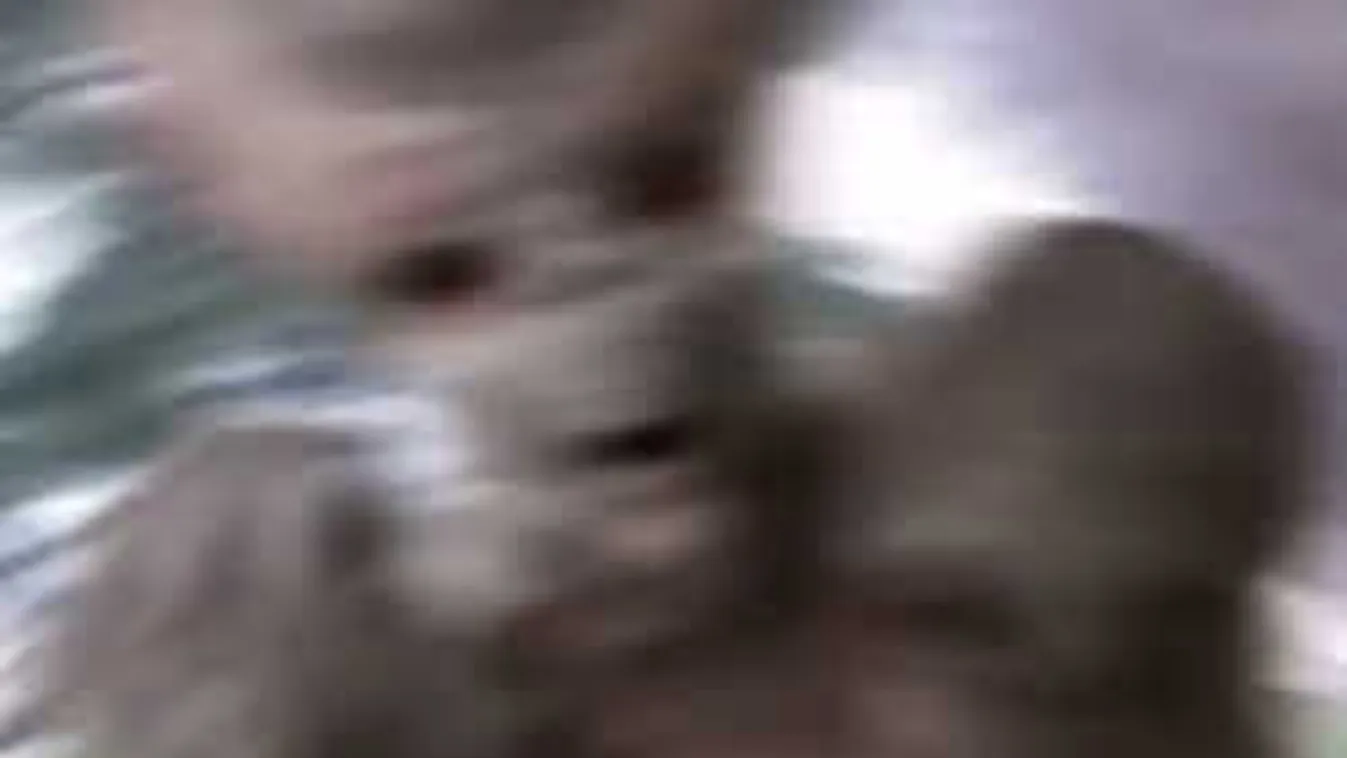 Ha ez a bizarr felvétel igazi, akkor ez az évszázad videója!