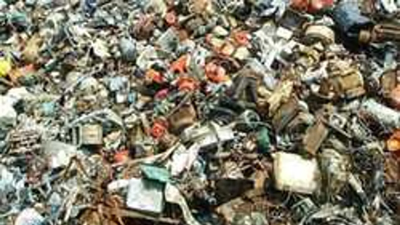 Találd meg a macskát a képen - ez a kihívás brutális