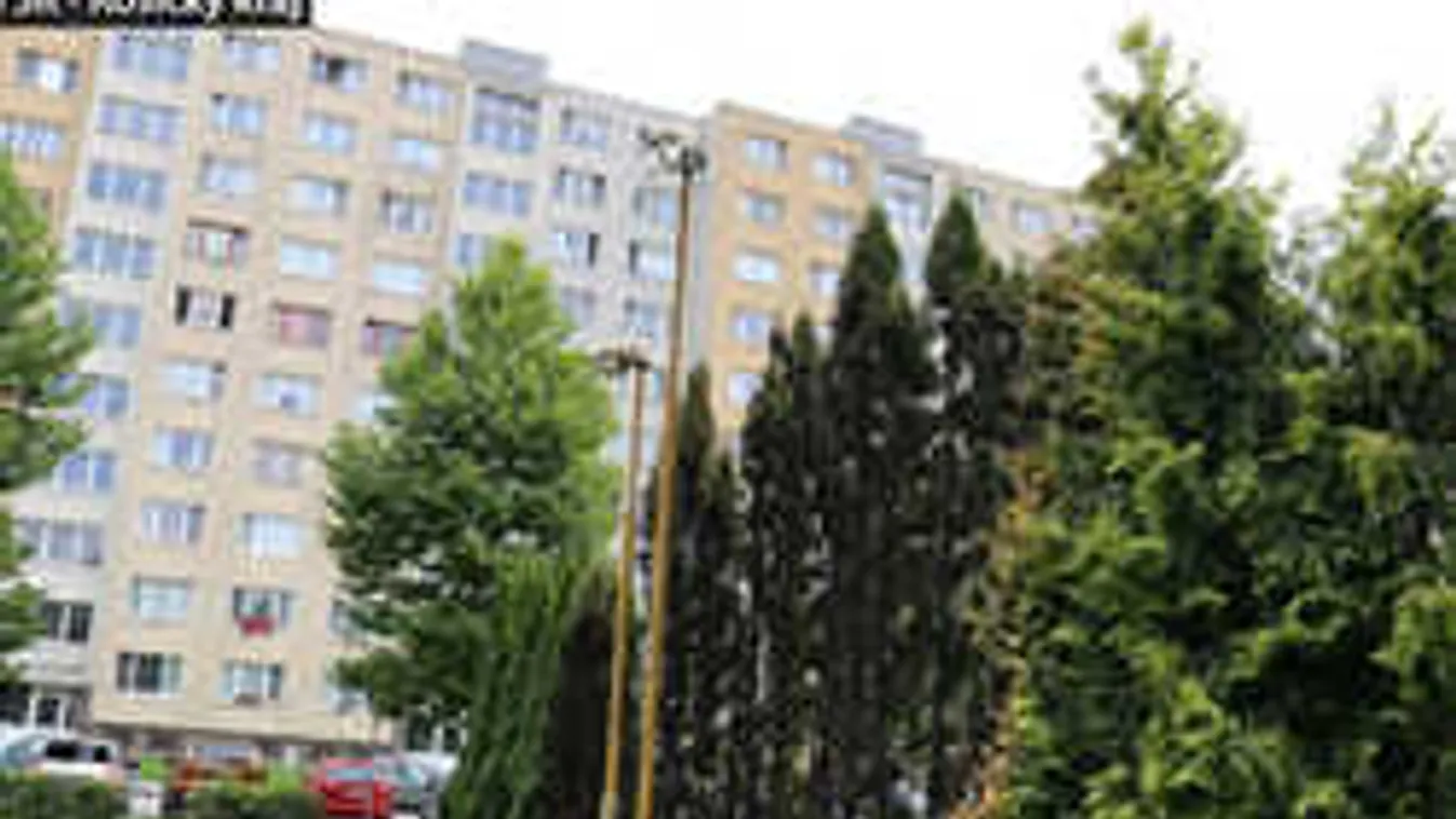 A tűzzel játszott egy kisfiú, 18 fa gyulladt fel