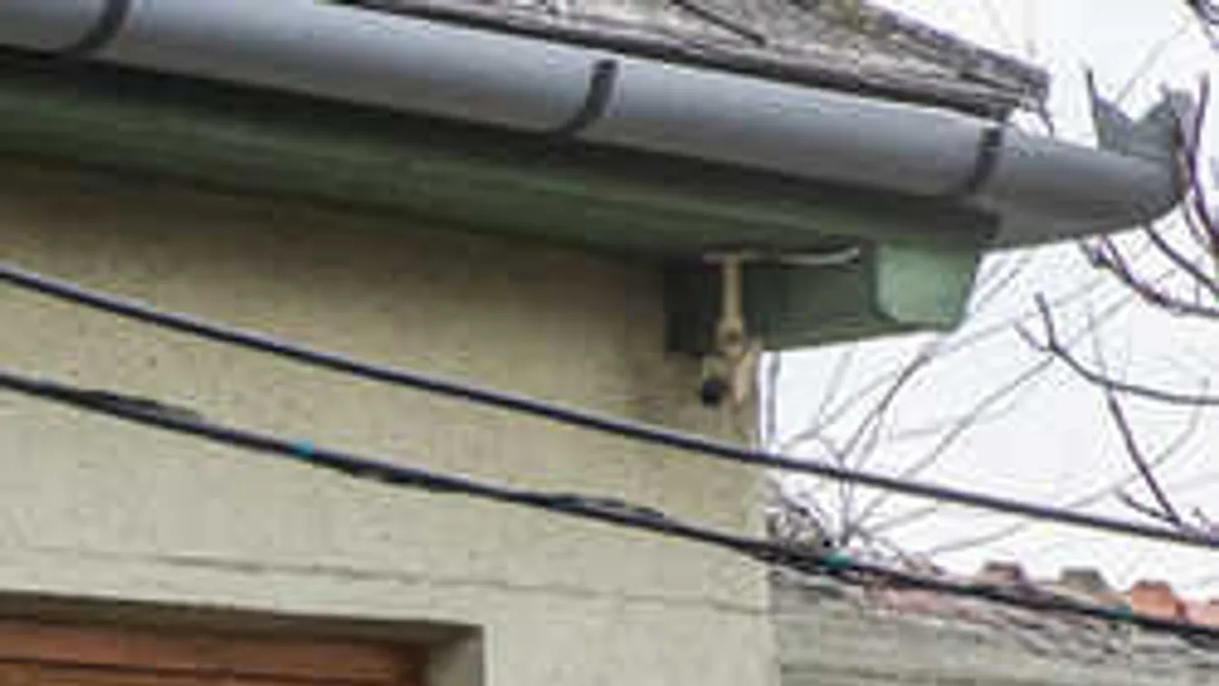 Különös rablóbanda tartja rettegésben a magyar települést