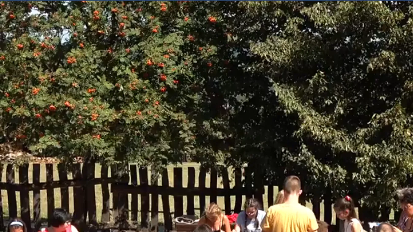 Nyitrai Zsolt: Cukorbeteg gyerekeknek segítettek a táborok