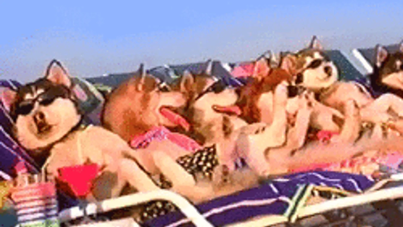 Lebuktál! Tudjuk, mire gondolsz VALÓJÁBAN a strandon