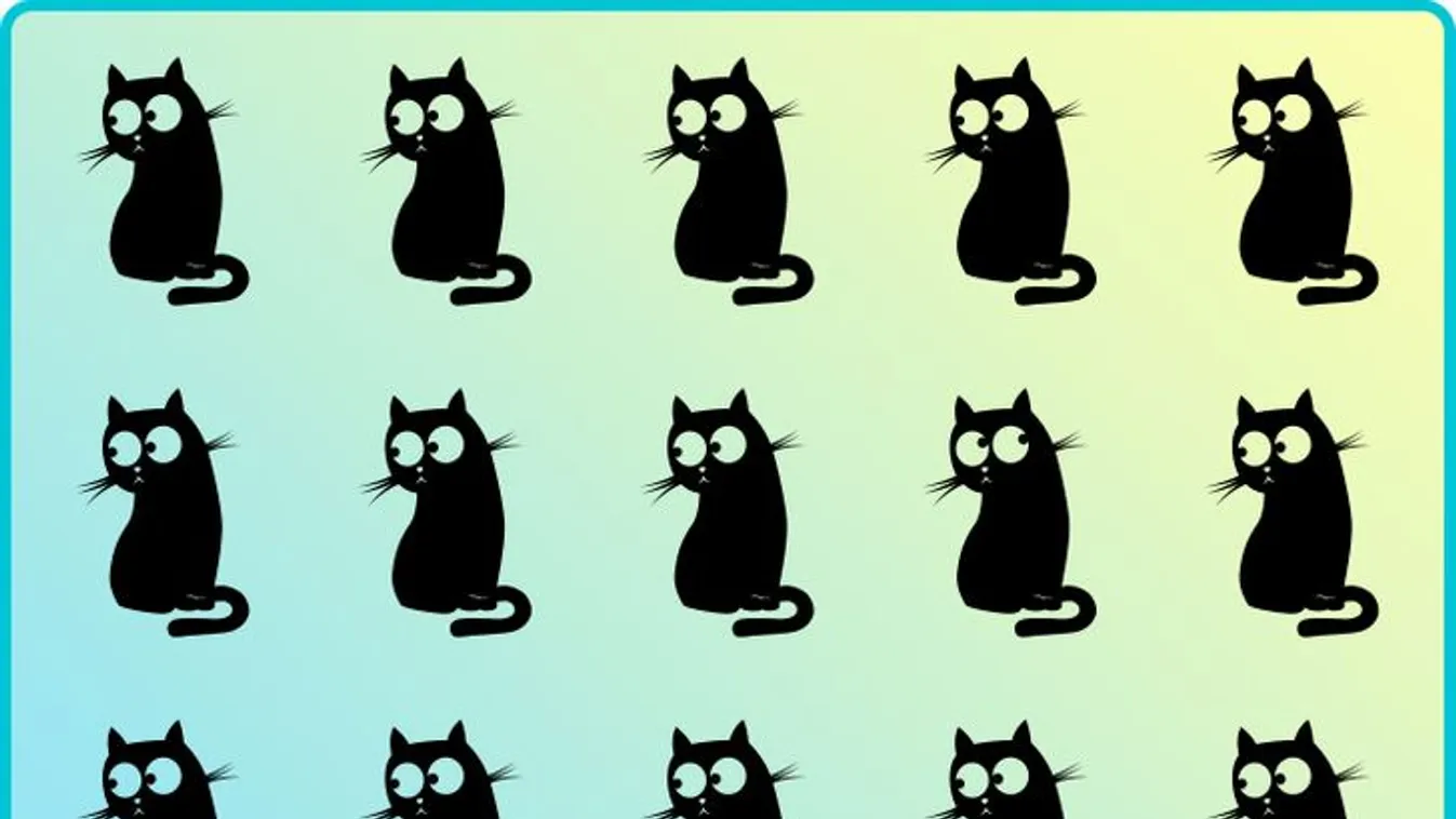 Lehetetlen képrejtvény: csak a zsenik fejtik meg 15 másodperc alatt