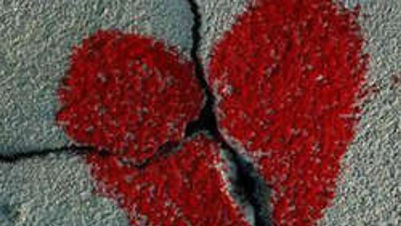 Összeroppant a szakítástól a rejtélyes módon eltűnt pesti férfi!