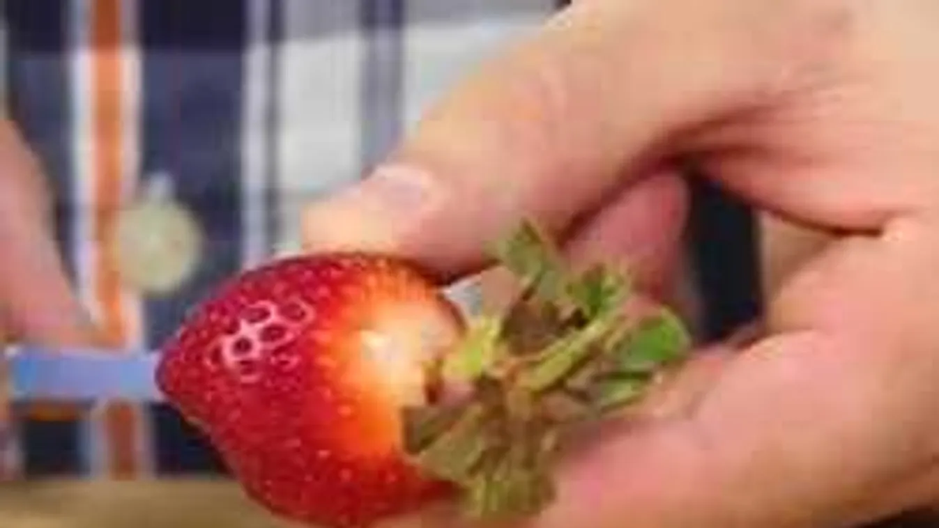 Íme egy fantasztikus ötlet, és az epret könnyű megpucolni