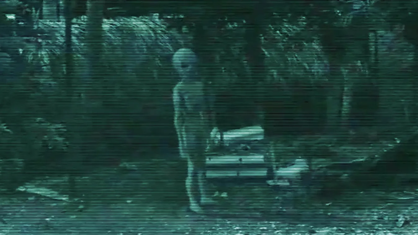 Harmadik típusú találkozás Mexikóban, husánggal várták a földönkívülit