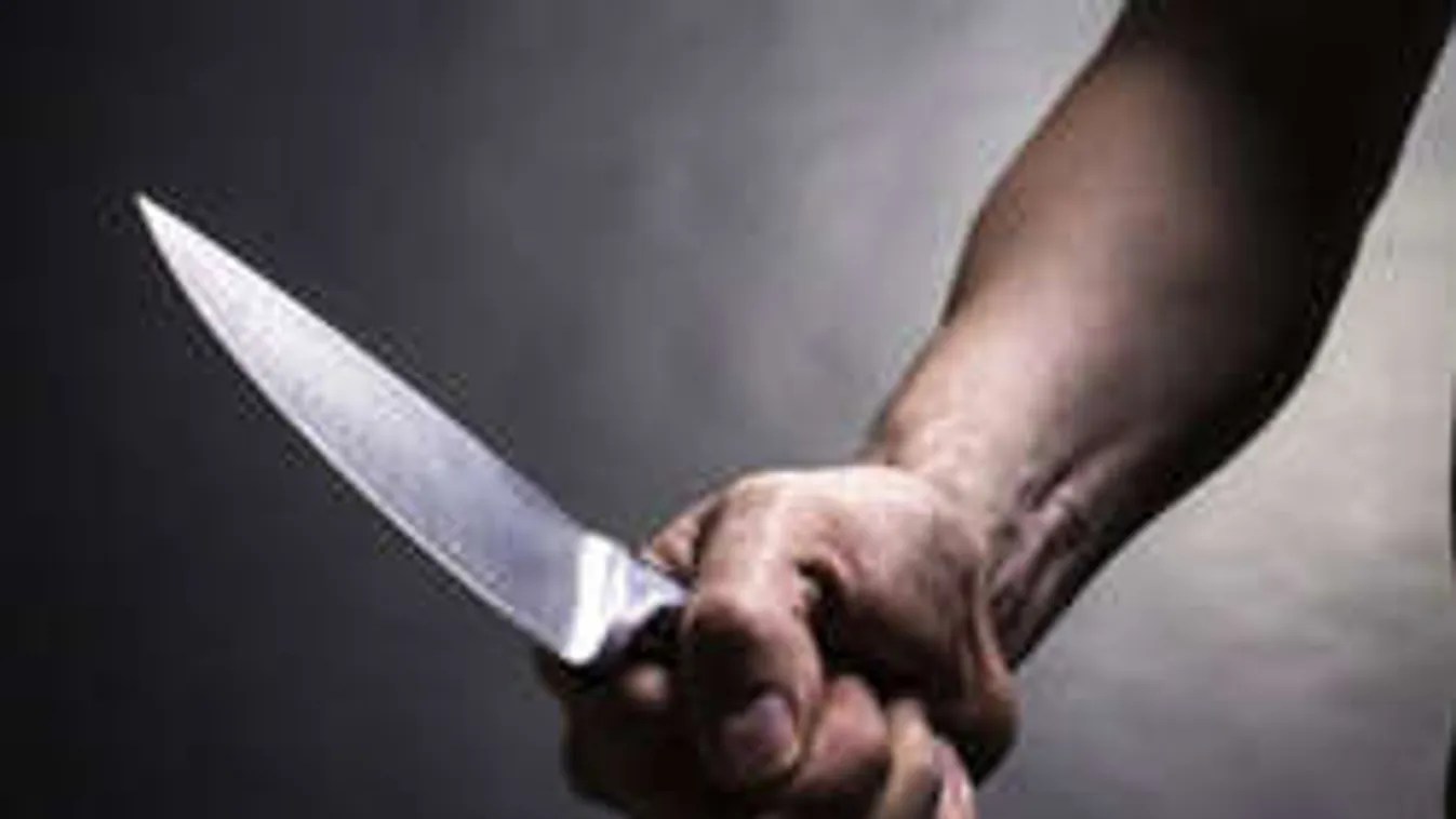 Életfogytiglanra ítélték a nejét brutálisan kivégző nyíregyházi férfit