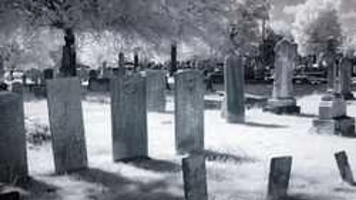 Félelmetes részletek: váratlanul megnyílt a kripta a gödöllői temetőben