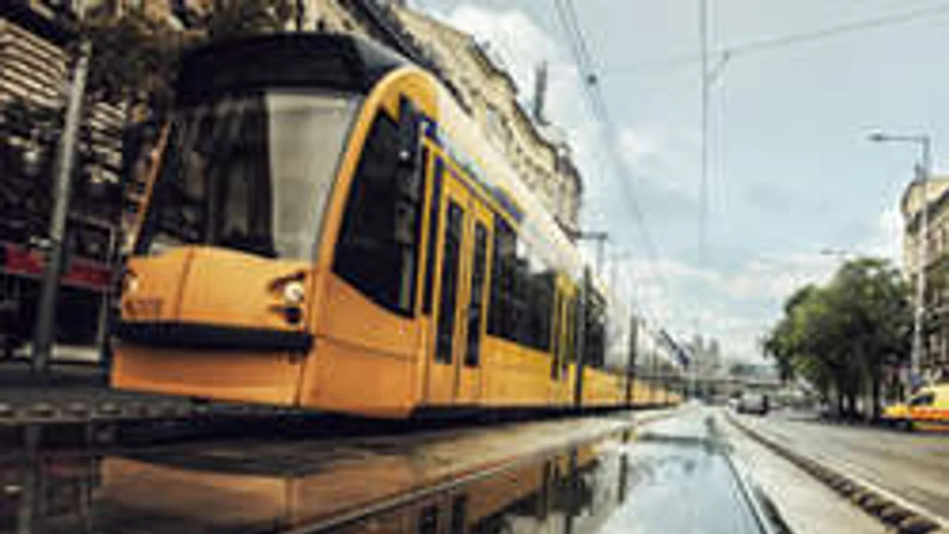 Felháborító magyarázatot adott tettére a combinós gyilkos!