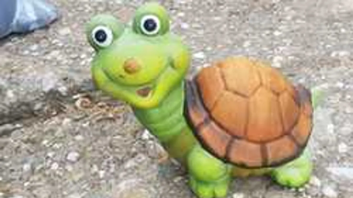 Hihetetlen, mit tett egy asszony, azt mondja, ő az új Repülős Gizi