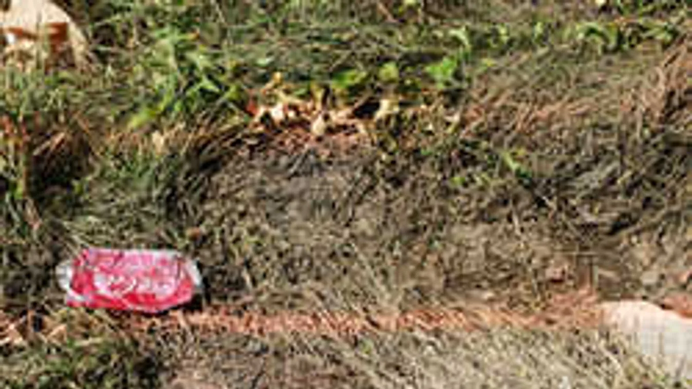 Felkavaró részletek, lánya gyilkosának szemébe nézett Zsófi gyászoló édesapja