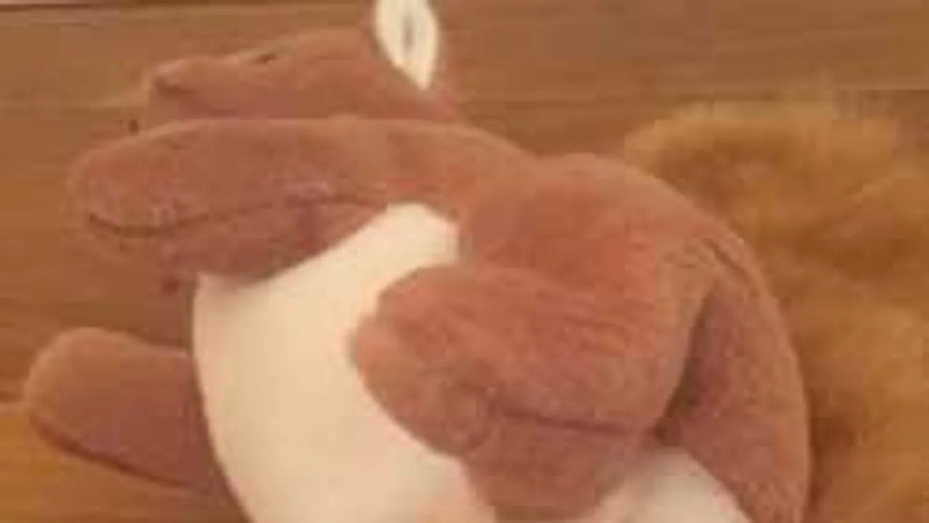 Perverz vaginamacit csempésztek a gyerekjátékok közé