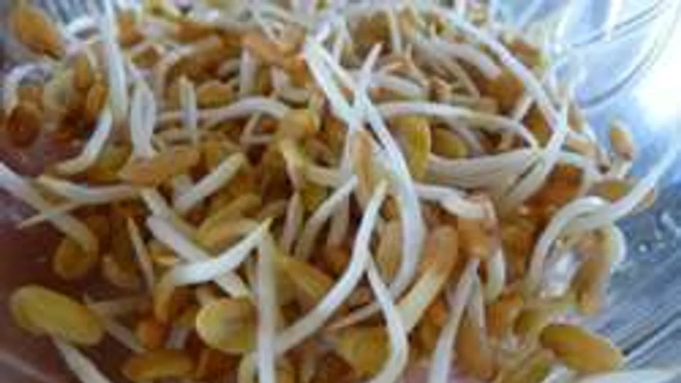 Bibliai böjtös étel, aminél nem létezik egészségesebb a tél végén!