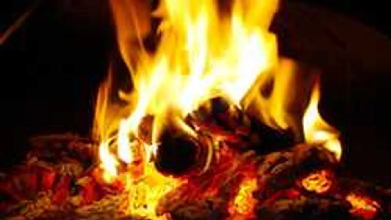 Most szórd ki a hamut a kertbe, imádni fogják a növényeid