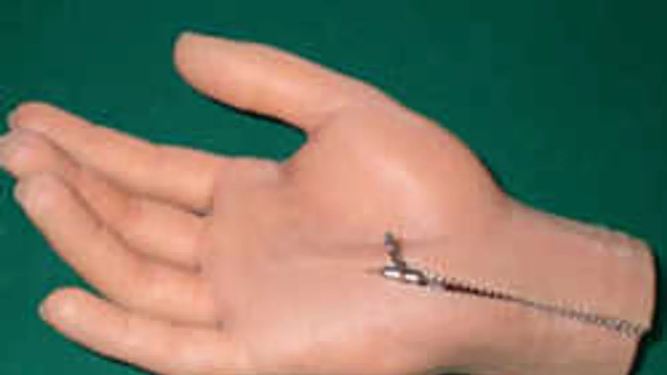 Aljas módszerekkel csaptak be kiszolgáltatott embereket