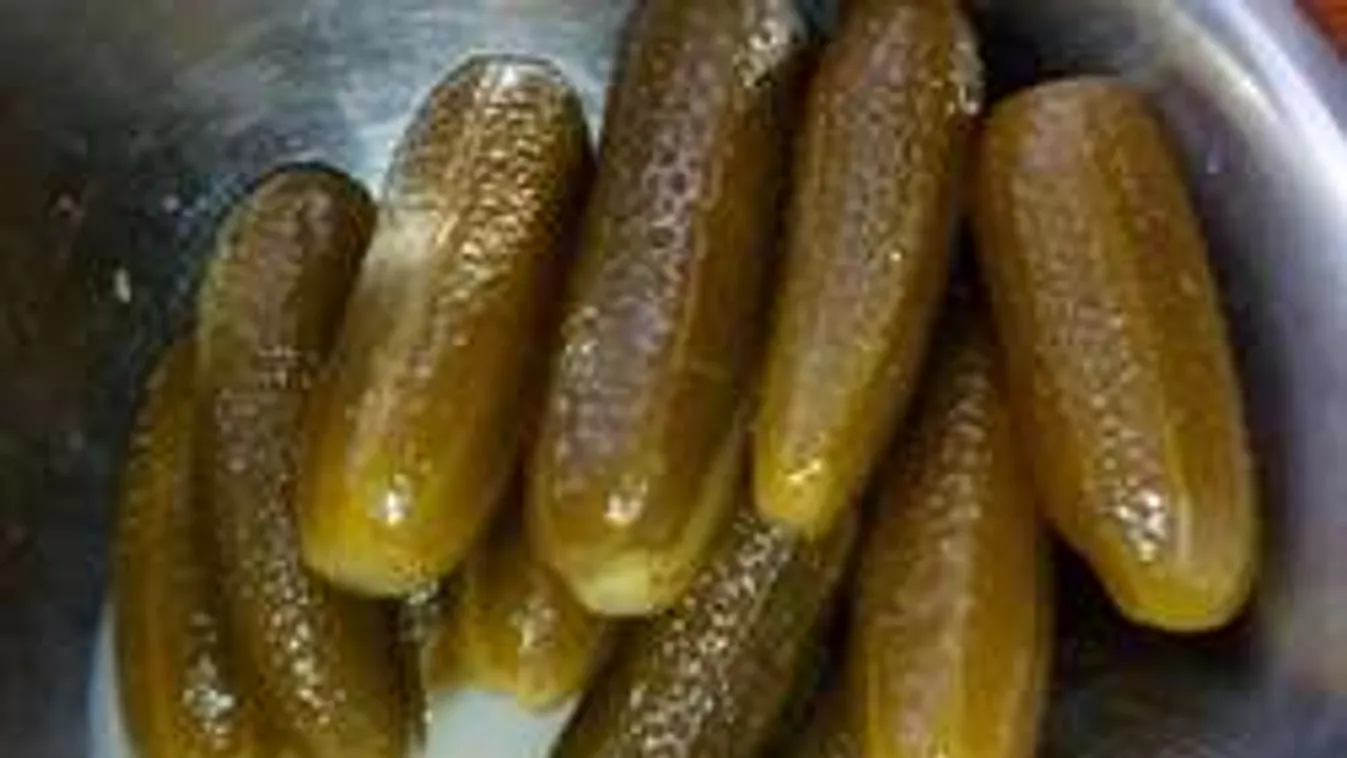 Rossz az idő? Sebaj! Így tudsz uborkát kovászolni!