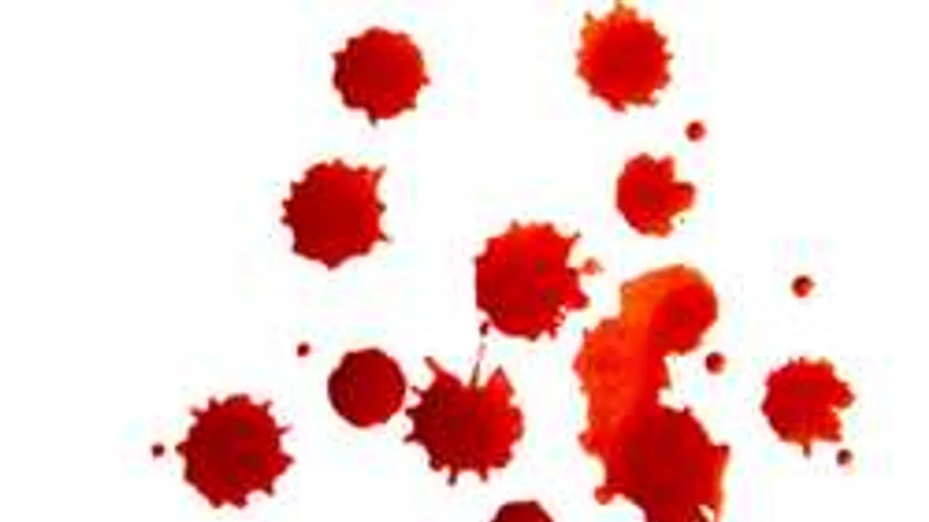 Véres dráma tanúi voltak a rendőrök a magyar határ mellett