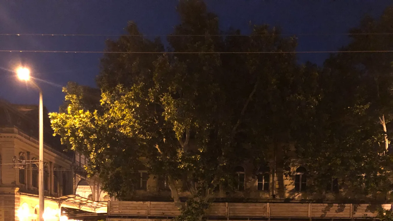 Ilyet se látni minden nap a Kerepesi úton - fotó