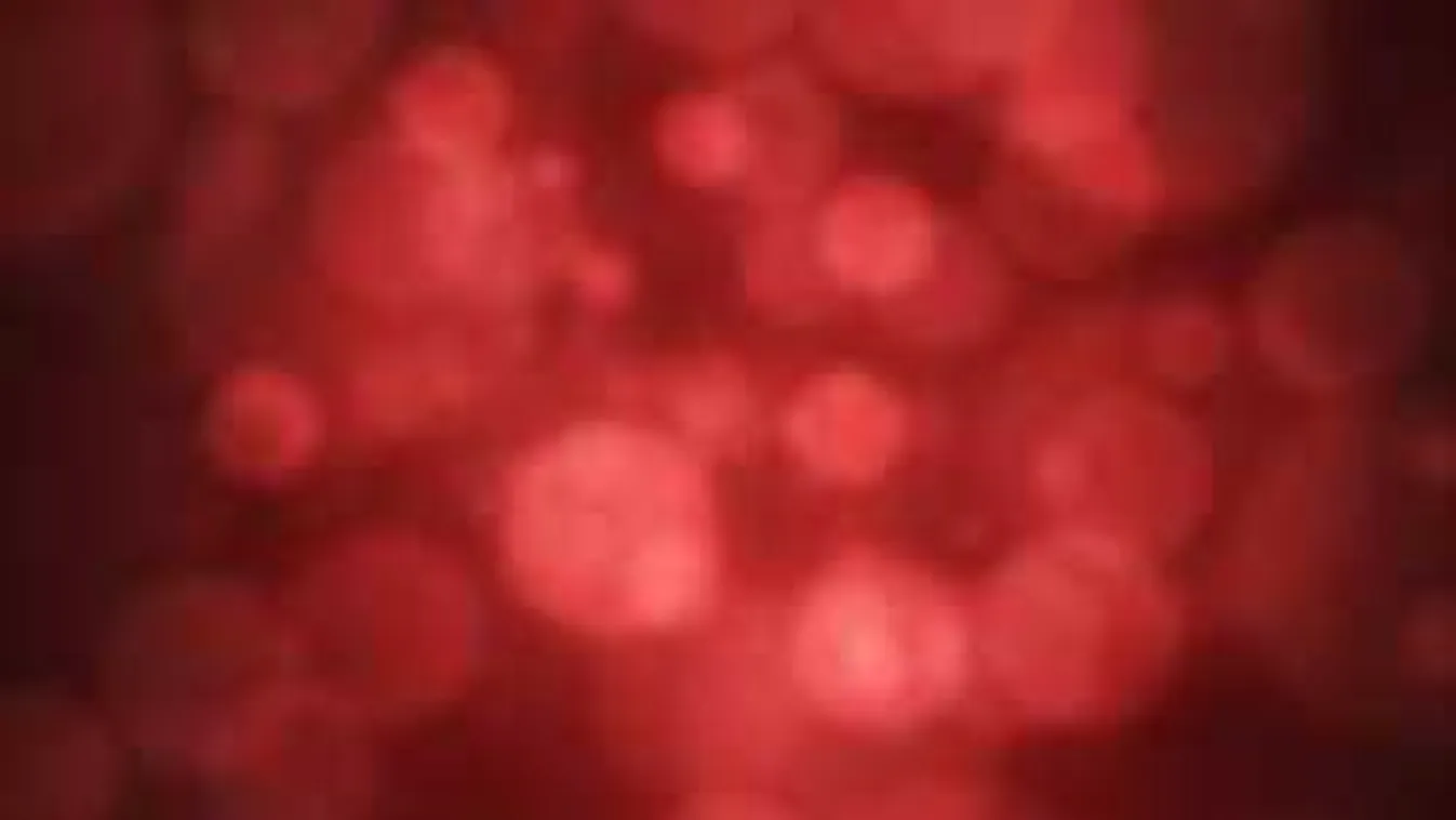 Életmentő mozgósítás, ilyet még nem láttál!