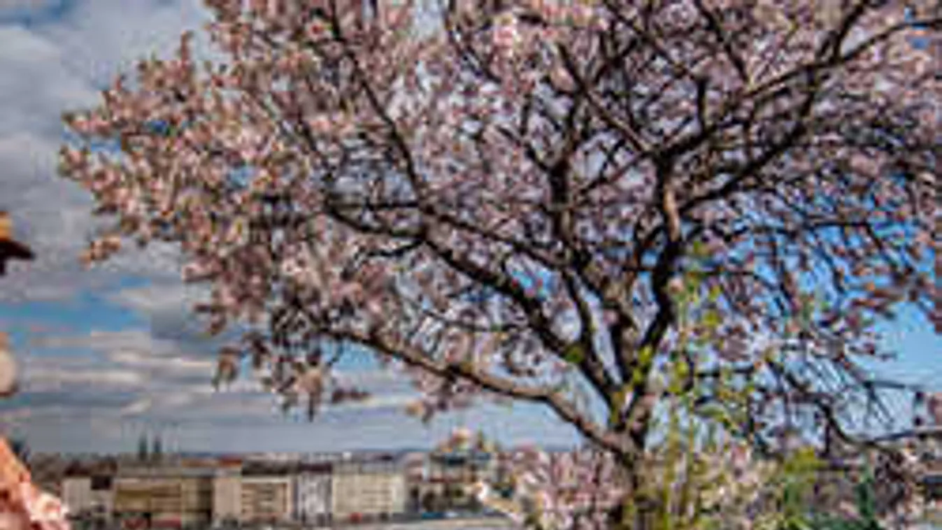 Nincsenek jó híreink, visszatér a fagy a héten