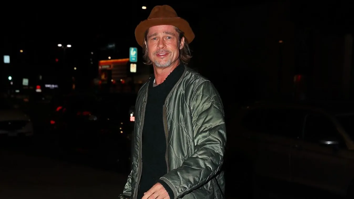 Brad Pitt Arrives To His Q&A A Day Before His Birthday In LA