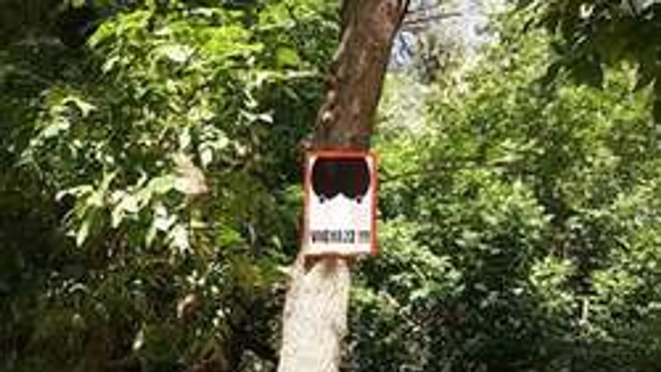 Tábla figyelmeztet a Tisza-parton: Vigyázat! Meztelen járókelők!