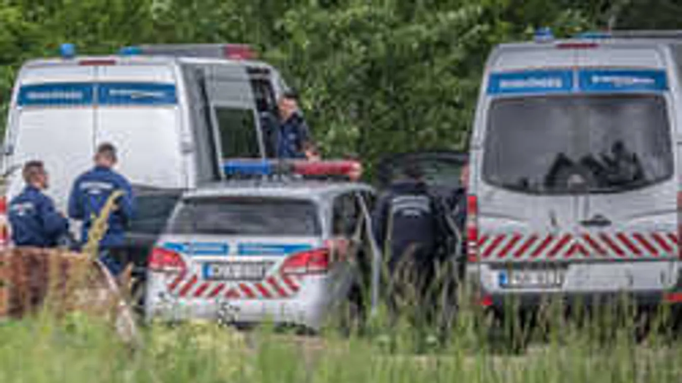 Rejtélyes gyilkosság történt az újpesti kiserdőben